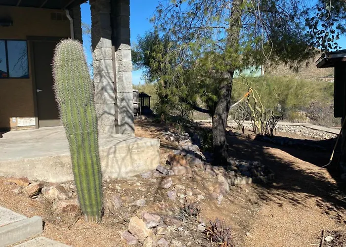 Desert Delight * Tucson