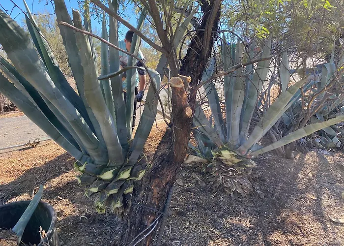 Desert Delight Lodge